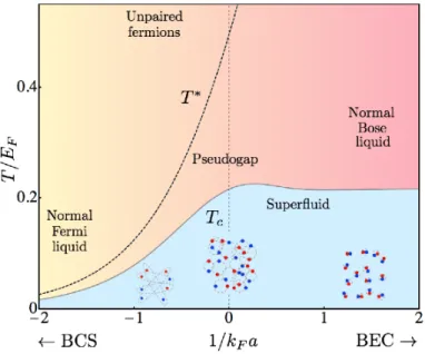 Figure 1.3: Phase diagram of the BCS-BEC crossover with respect to the scattering length a and the temperature