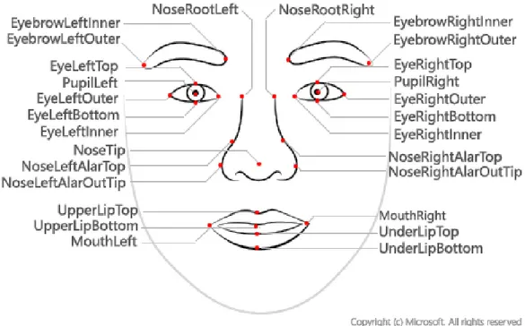 Figura 2-D: mappa parziale dei punti di riferimento facciali. PupilLeft e PupilRight non sono rilevabili  nativamente da Kinect