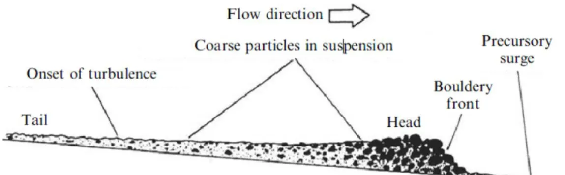 Figura 2.1.3: rappresentazione schematica in sezione delle 3 parti di un impulso generico di debris flow  (Jakob, 2005) 