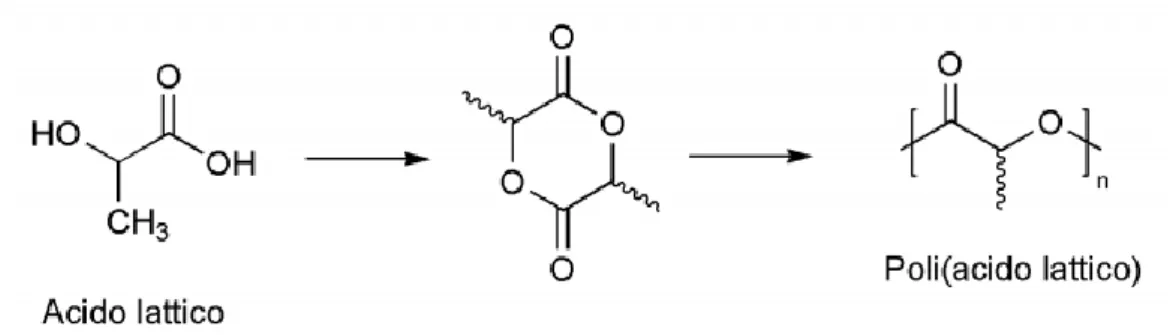 Figura 1.21. Schema di sintesi dell’acido polilattico. 