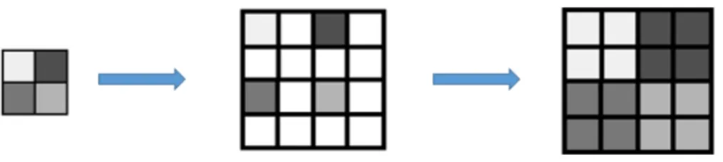 Figura 1.1: Interpolazione nearest neighbor `