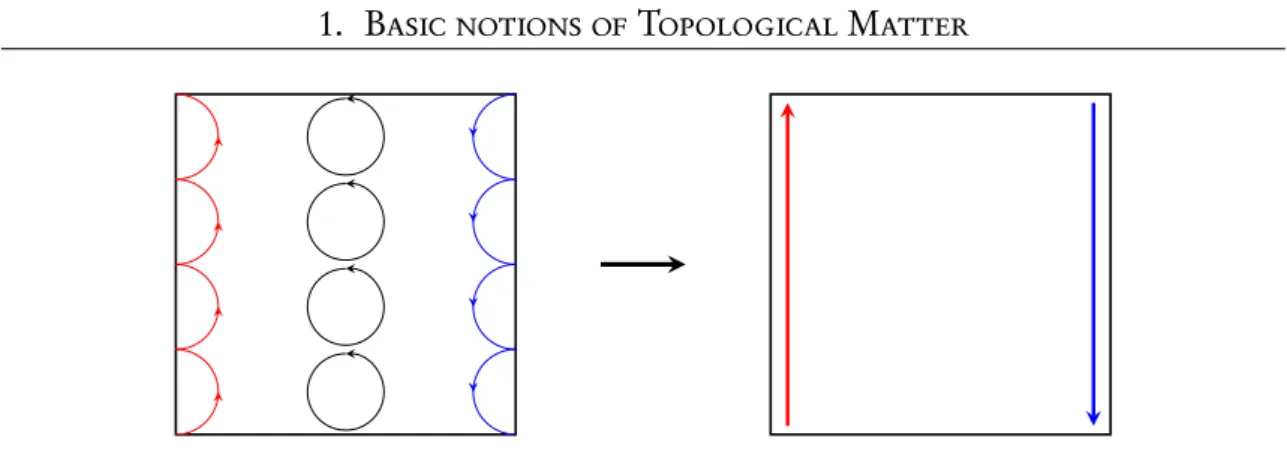 Figure 1.1: The skipping motion along the borders of the system gives rise to chiral particle who can move only in one direction