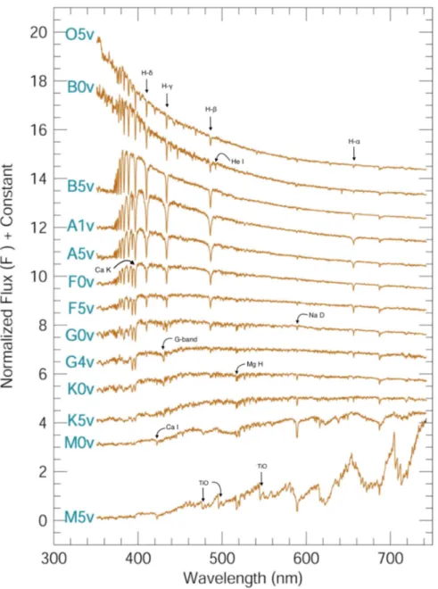 Figura 3.3: Flussi di alcune stelle in funzione della lunghezza d’onda con relativa classificazione spettrale.