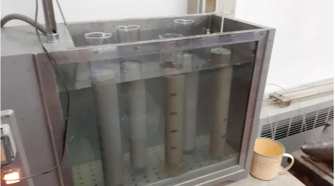 Fig. 8 - I 5 cilindri dei rispettivi campioni immersi nella vasca termostatica. 