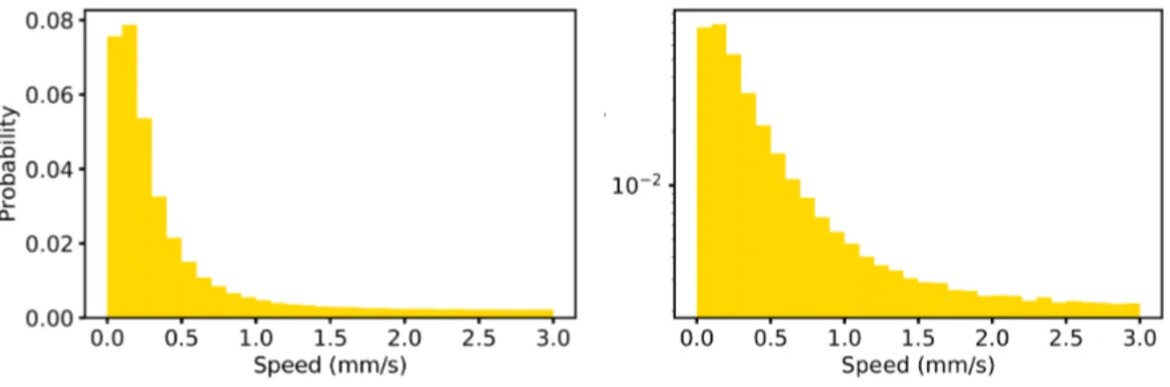 Figure 3.5: Probability of instantaneous speed for all of the Drosophila in the three experiments both in normal and in logarithmic scale