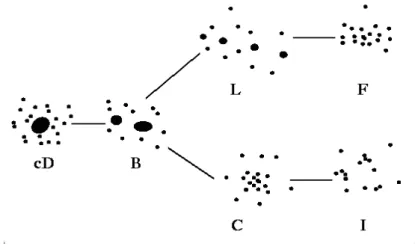 Figura 3.1: Classificazione di Rood-Sastry