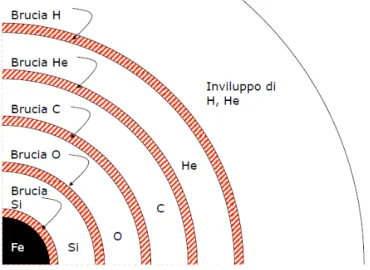 Figura 2.1: Struttura “a cipolla” di una stella massiva termodinamicamente evoluta.