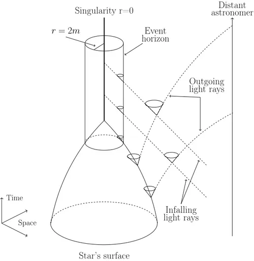 Figure 2.1.3: Diagram of the spherical symmetric collapse in Eddington-Finkelstein co- co-ordinates.
