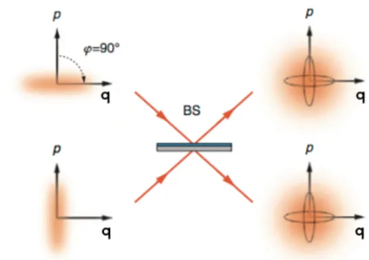 Figure 2.2: Generation of a two-mode squeezed state by sending two single-mode squeezed states into the input ports of a 50:50 beam splitter.