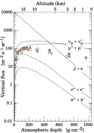 Figura 1.4.1: Fluso verticale dei raggi cosmici nell’atmosfera con E &gt; 1 GeV [1].