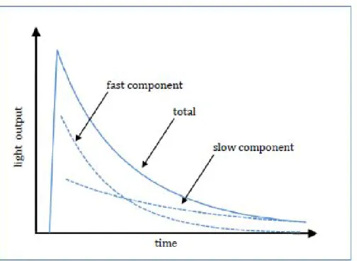 Figura 3.1.1: Differenza tra componente veloce (fast) e lenta (slow). La linea continua rappresenta la curva di decadimento totale [3].