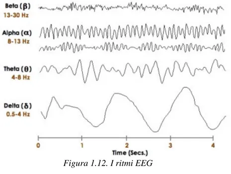 Figura 1.12. I ritmi EEG 