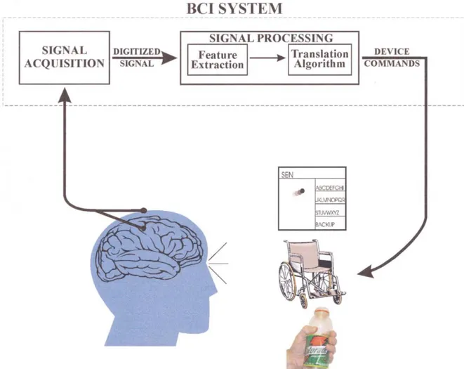 Figura 2.1. Struttura base di un sistema BCI. I segnali cerebrali sono acquisiti da elettrodi posti sullo  scalpo  o  direttamente  all’interno  del  tessuto  cerebrale  ed  elaborati  per  estrarne  specifiche  caratteristiche  (features)  che  riflettono