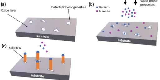 Figure 1.2: Schematic representation of the Ga-assisted growth of GaAs NWs. (a) Growth is initiated on an substrate covered by a thin oxide layer, that can be a  na-tive oxide or an articially deposited layer
