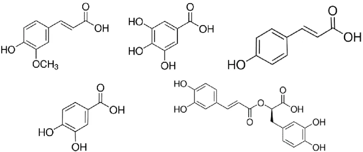 Figura 9. Principali acidi fenolici presenti nel teff. Da sinistra in alto: acido ferulico, acido gallico, acido p-cumarico, 