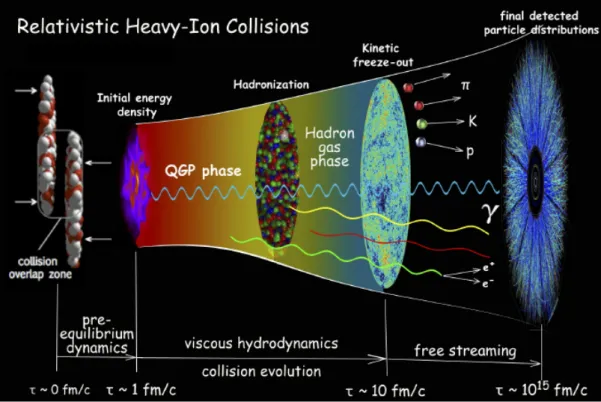Figura 1.5: Rappresentazione di una collisione tra ioni pesanti ultrarelativistici e del processo di formazione ed evoluzione del QGP.