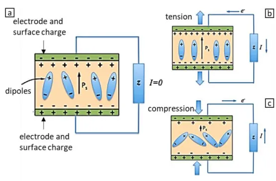 Figure  1.2  Piezoelectric  effect  across  electrical  load.  a)  No  mechanical  load,  b)  compressive load leading to a decrease in polarisation relative to the no load  con-dition, c) tensile load leading to an increase in polarisation relative to the