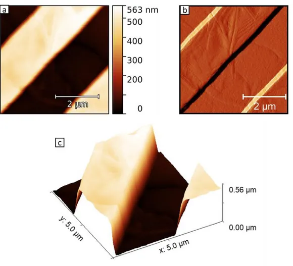 Figure 3.1: Investigation of P(VDF-TrFE) micropatterned thin film by non-contact mode  force microscopy a) topography, b) NCM error signal c) three dimensional, not to scale  representation of the topography