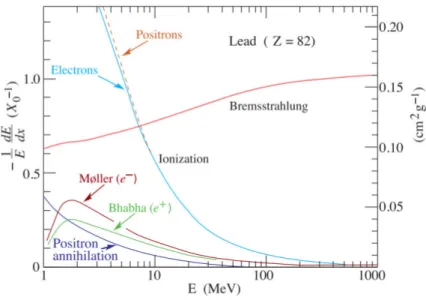 Figura 1.11: Perdita frazionaria di energia per lunghezza di radiazione percorso è data dalla seguente formula: