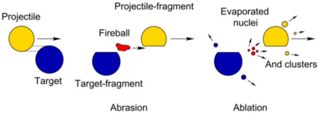 Figura 1.5: A simplified model of the nuclear fragmentation due to peripheral collisions of projectile and target nucleus [13].