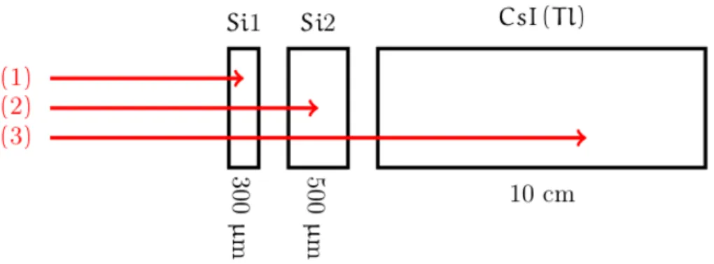 Figure 2.5: Schematic view of a Si1-Si2-CsI(Tl) FAZIA telescope. The three red arrows represent three incident particles, each stopping in a di fferent detection stage.