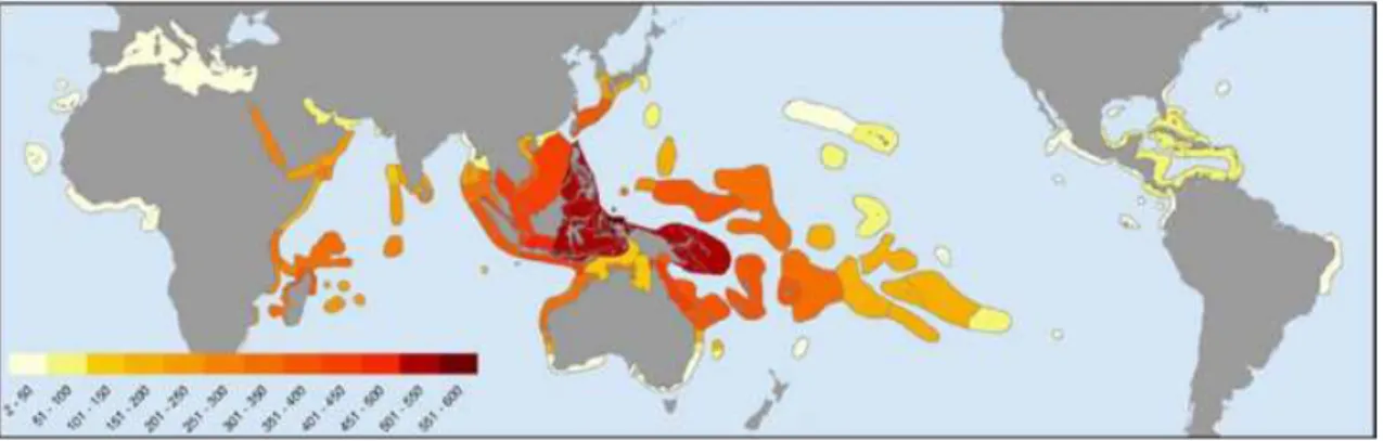 Fig.  2.1  Global  biodiversity  of  zooxanthellate  corals.  Colours  indicate  total  species  richness of the world’s 141 coral biogeographic ‘ecoregions’ (image from Veron et al