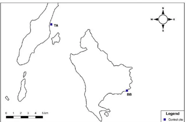 Fig.  2.7  Control  sites  in  Bangka  Island  (Batu  Belah;  BB)  and  in  Talisei  Island  (TA)  (image from Ercadi, 2018)