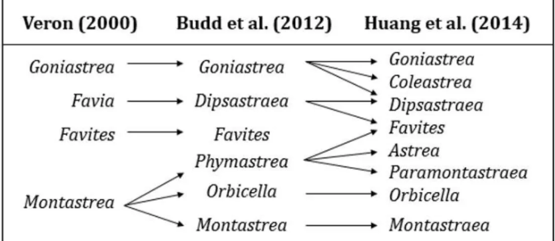 Fig. 2.10 Comparisons amongst recent classifications of reef corals (Veron, 2000; Budd et  al