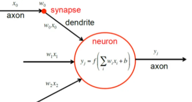 Figure 3.2: Model of the computations performed by a brain neuron: x i are the input