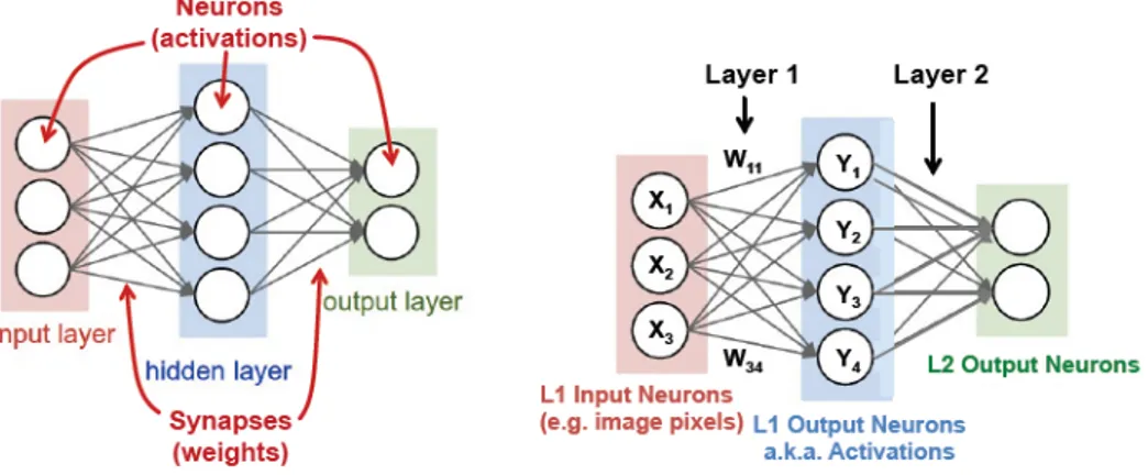 Figure 3.3: Scheme of a simple neural network’s structure and terminology. Left: neurons and synapses