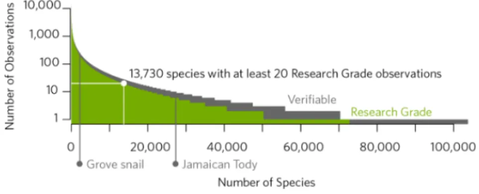 Figura 2.5: Graco osservazioni/specie di iNaturalist [8]