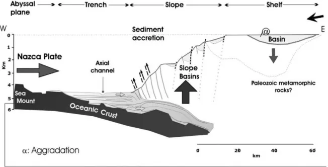 Fig.  6  Sezione schematica del cuneo di accrezione a 35°55’S. Da Est verso Ovest: bacino di piattaforma continentale,  bacino di scarpata continentale e fossa riempita da sedimenti (da Contardo et al., 2008)