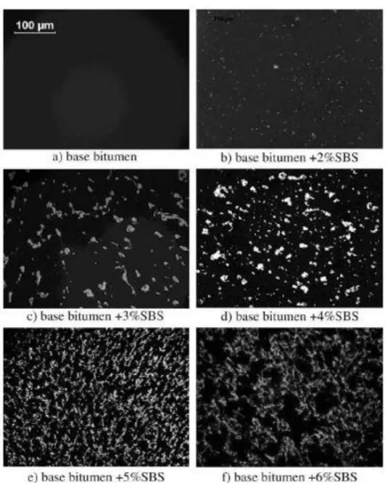Figure 2.6 -Fluorescent images of SBS modified bitumen with various contents (by weight) of  SBS