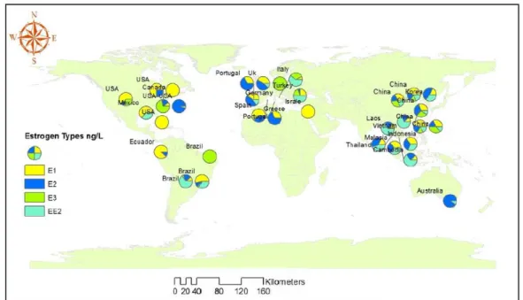 Figura 1.9 Distribuzione mondiale di estrogeni naturali e sintetici nei fiumi e nelle 