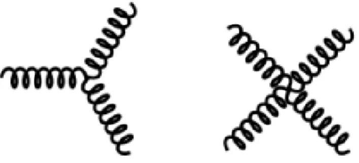 Figura 1.4: Diagrammi di interazione fra gluoni a tre e quattro vertici, caratteristici dell’interazione forte