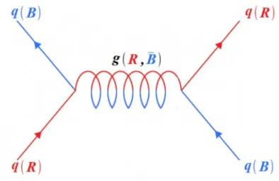 Figura 1.3: Interazione fra due quark tramite scambio di un gluone. Il sapore q dei quark non viene modificato dall’interazione.