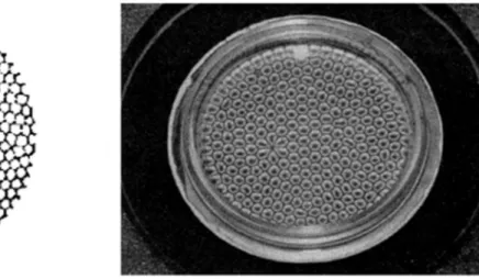 Figura 1.3: da sinistra, celle di Bénard in uno strato di spermaceti [2] e osservazione di pattern a  celle esagonali in un olio di alluminio [3] 