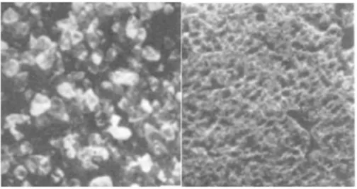 Figura 3.2: da sinistra; sabbia di una spiaggia e tessuto di un polmone umano [11]