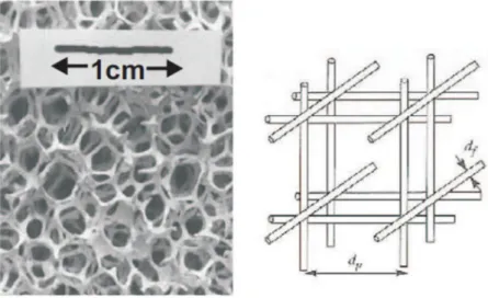 Figura 3.3: microstruttura di una schiuma metallica e sua rappresentazione schematica [12] 