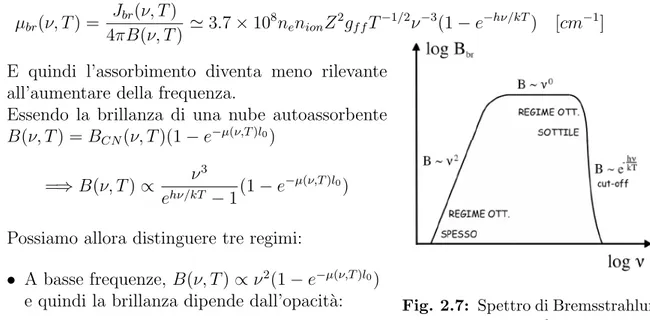 Fig. 2.7: Spettro di Bremsstrahlung autoassorbito