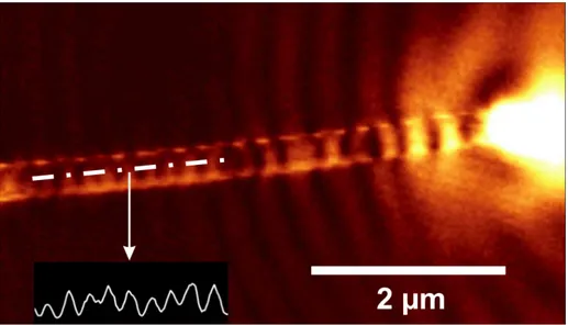 Figura 1.6: Propagazione plasmonica di supercie lungo un nanolo di argento allo SNOM (Scanning Near-Field Optical Microscopy) [9].
