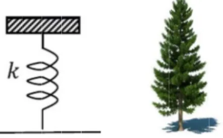 Figure 2.2: The resonator is computed referring to the mechanical characteristics of a pine tree along the longitudinal axis