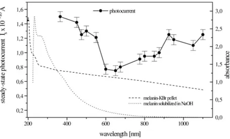 Figure 1.16: Optical absorption and steady-state photocurrent in melanin pellet and melanin soluilized in NaOH