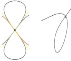 Figura 2.1: Esempio di nodo con le due tangenti principali in giallo