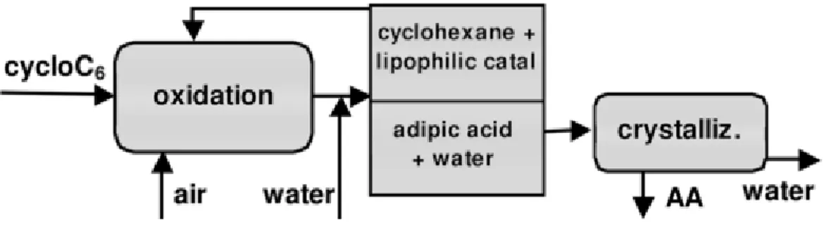 Figure 4: Schematic flow chart for a one-step adipic acid synthesis from cyclohexane. 
