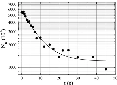 Figura 3.1: Si riporta il grafico della popolazione N K in scala semilogarit-