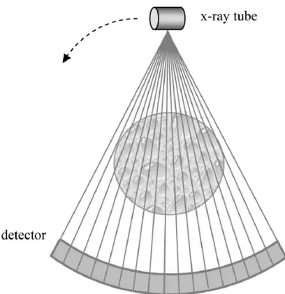 Figura 1.5: Rappresentazione di uno scanner TC. Il tubo radiogeno e i rivelatori ruotano attorno all’oggetto, rimanendo stazionari tra loro [1].