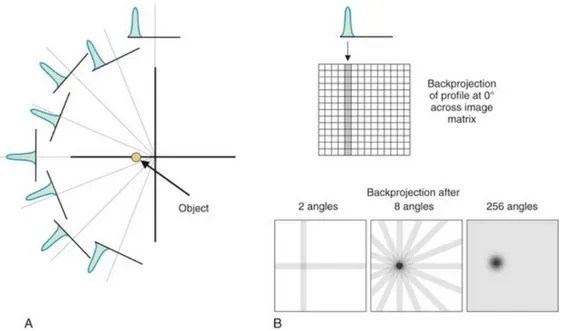 Figura 2.1: Schema illustrativo del procedimento che permette di ottenere l’immagine dell’oggetto studiato attraverso il metodo della Backprojection.