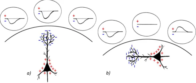 Figura  1.5.  Misurazione  dei  dipoli  radiali  (a)  e  tangenziali  (b).  I  dipoli  radiali  (a)  producono  deflessioni  in  una  sola  direzione,  mentre  i  dipoli  tangenziali  (b)  producono  deflessioni in entrambe le direzioni