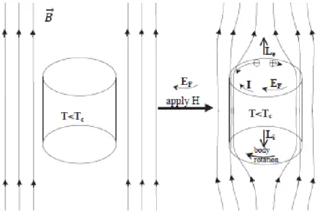 Fig 2.1: Un campo magnetico ~ B viene applicato ad un superconduttore inizialmente fermo